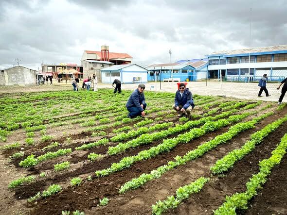 Producción Agropecuaria
